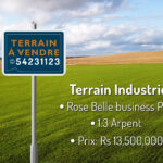 Terrain Industriel - Rose Belle