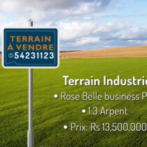 Terrain Industriel - Rose Belle