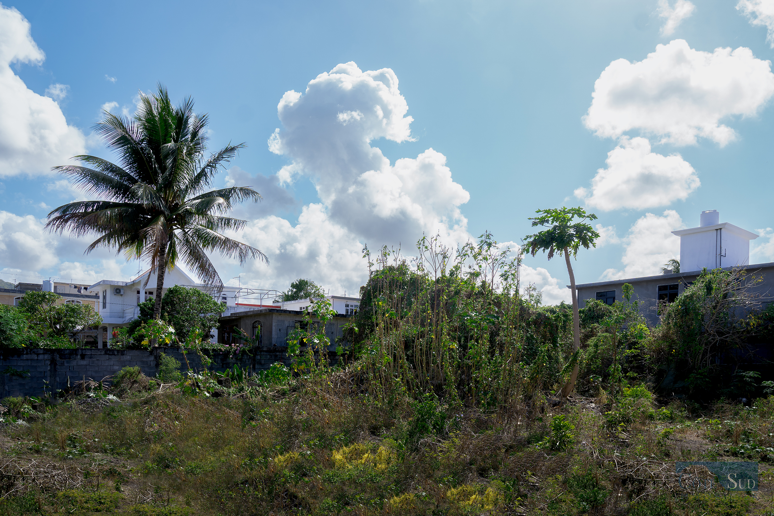 Subdivided land – Surinam