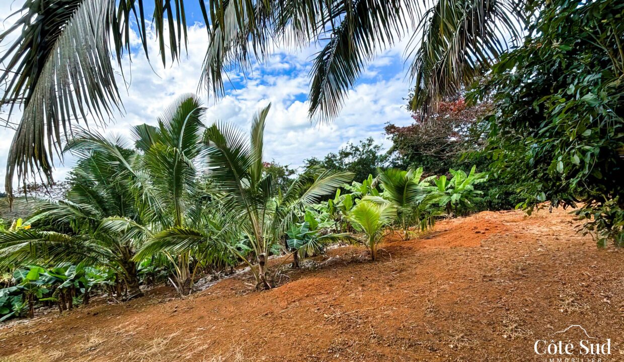 WhatsApp Image 2024-08-05 at 10.32.22 (1)_MR