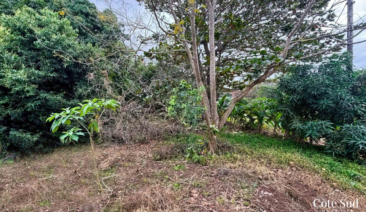 WhatsApp Image 2024-08-05 at 10.32.22 (2)_MR