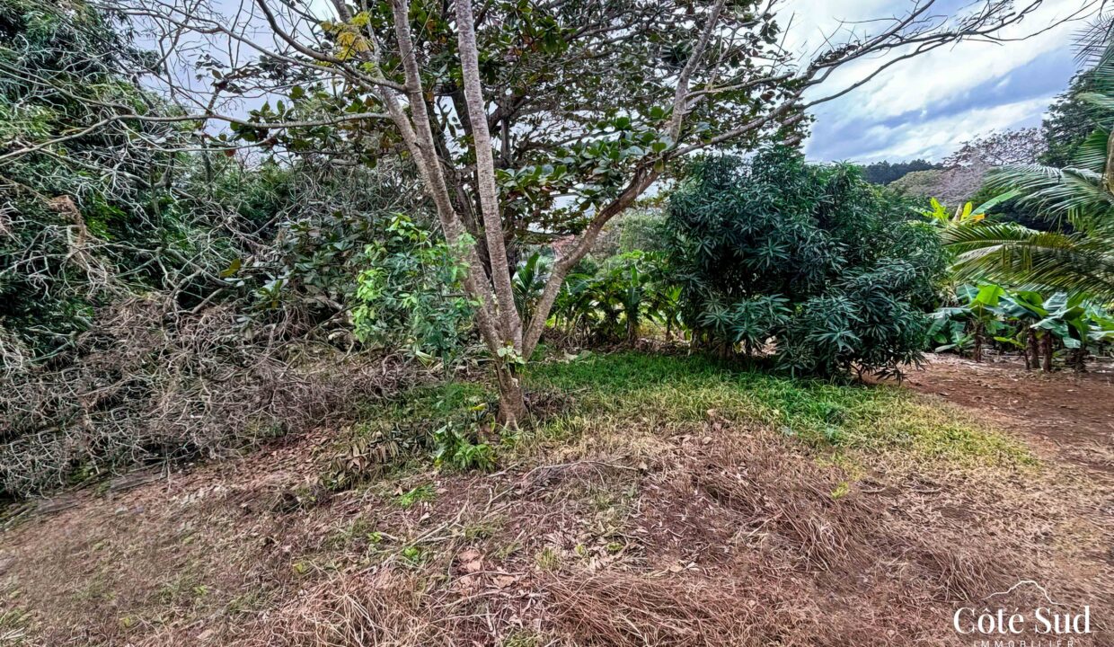 WhatsApp Image 2024-08-05 at 10.32.22 (3)_MR