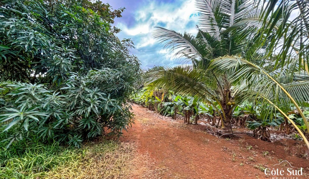 WhatsApp Image 2024-08-05 at 10.32.22 (4)_MR