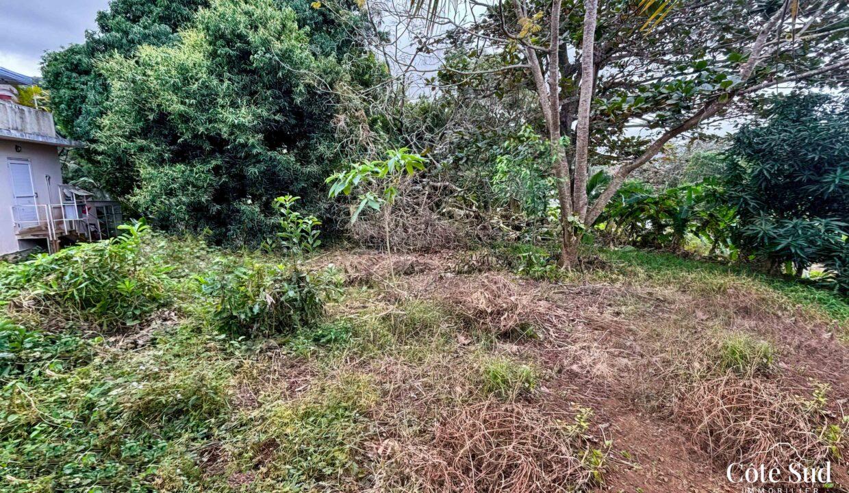 WhatsApp Image 2024-08-05 at 10.32.22_MR