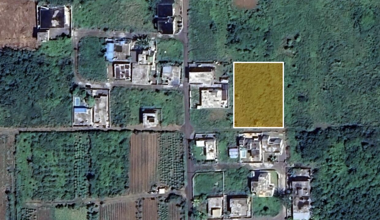 Cote Sud - Terrain St Antoine 2025-09-17