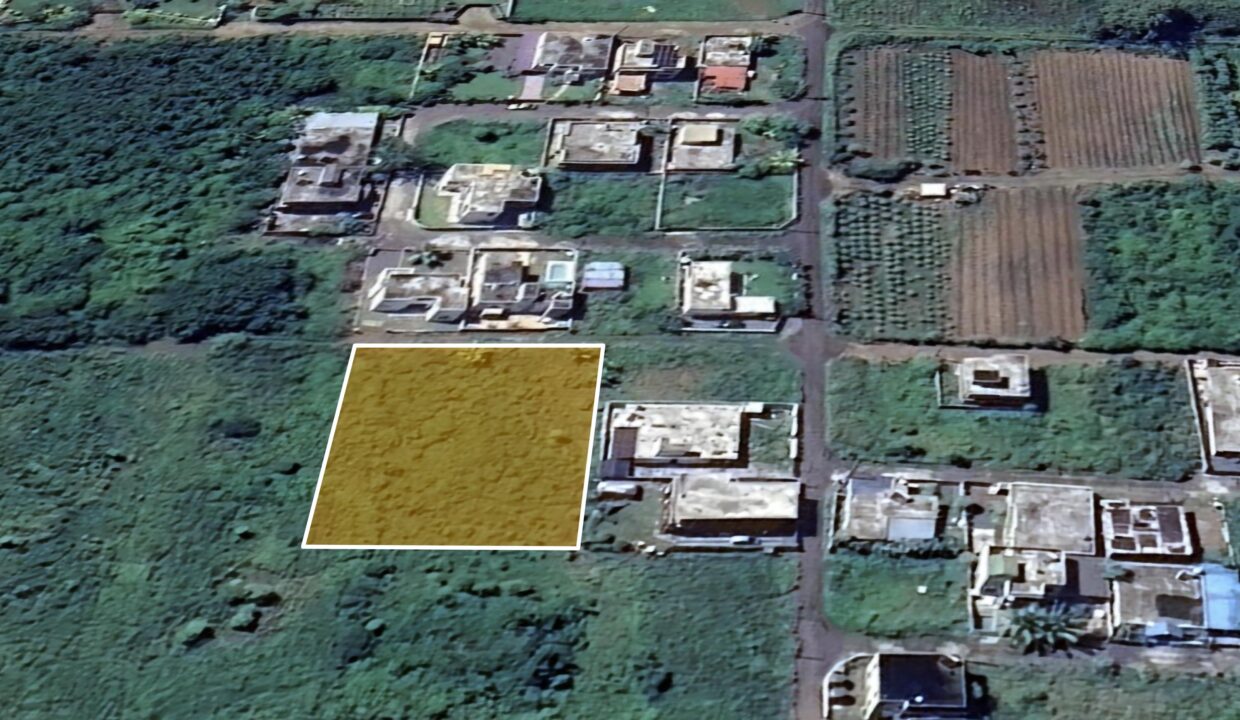 Cote Sud - Terrain St Antoine 2025-09-17