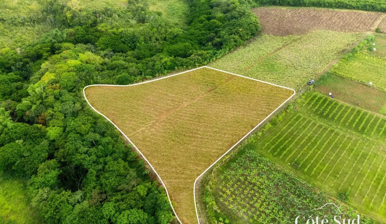 04d96d95409b9da26b01800f7ea8b802_67fdf27471_1575-original