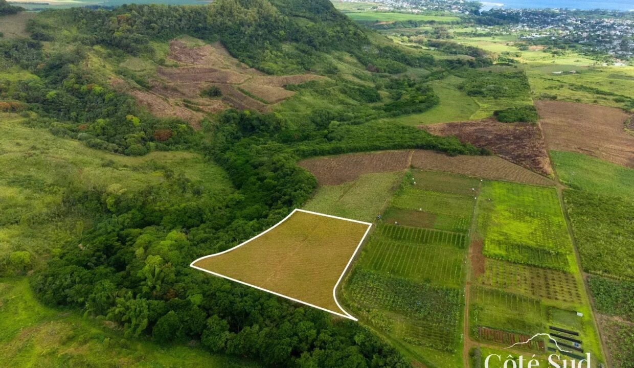 2e55ff9736544a18b3653ddb2ff51f33_c9356baa22_1575-original