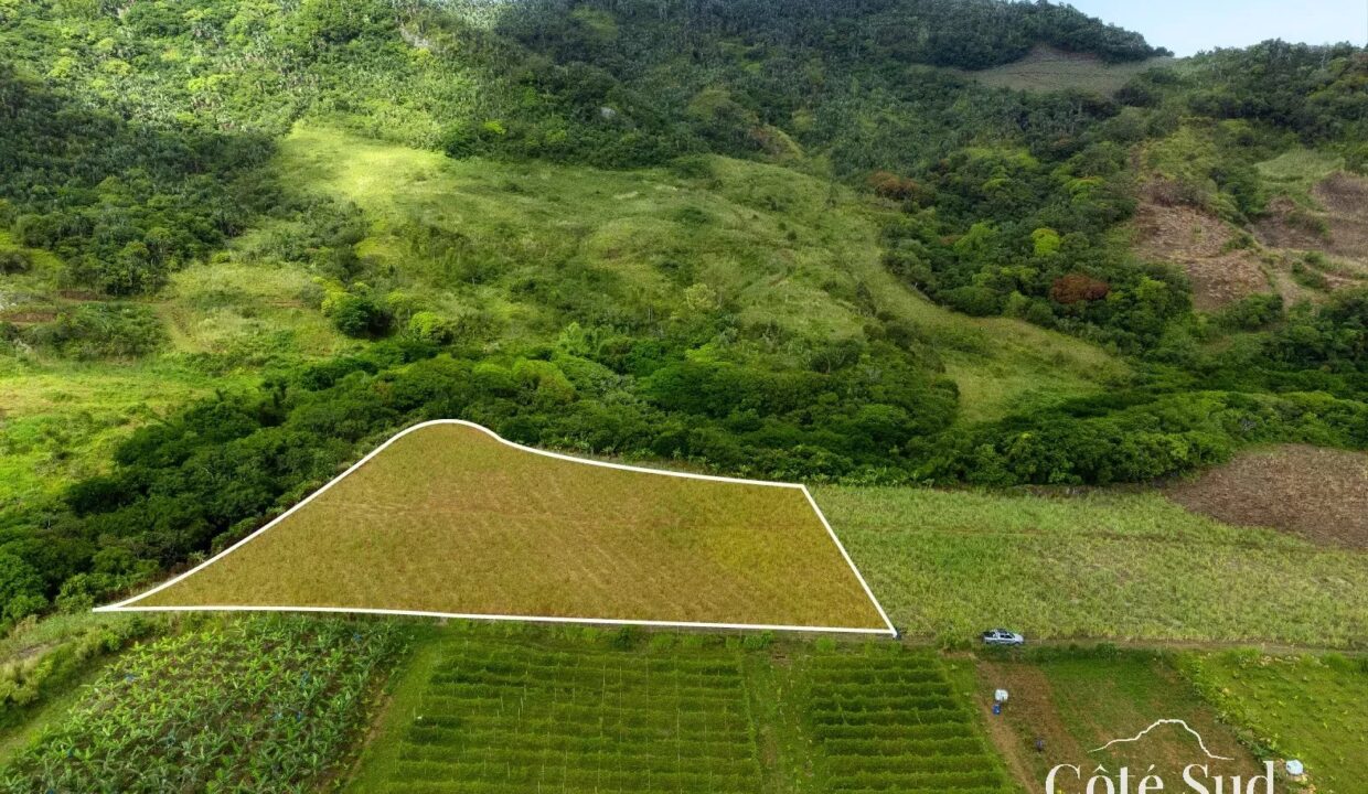 46d24d7e3fb4b2e7ef6f6a0dcb7ab1c8_a6a693076a_1575-original