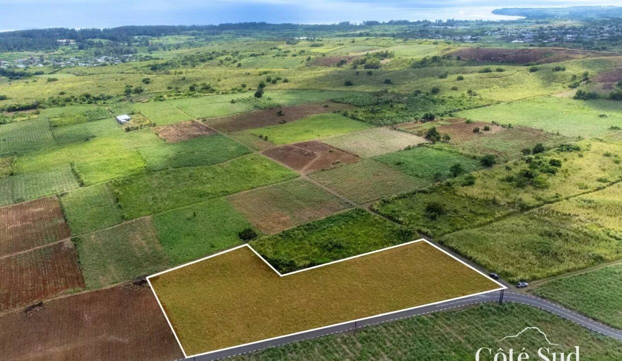 503cc47c9b36bcb0a64c1ef2885e6ea8_a321ab0198_1575-original