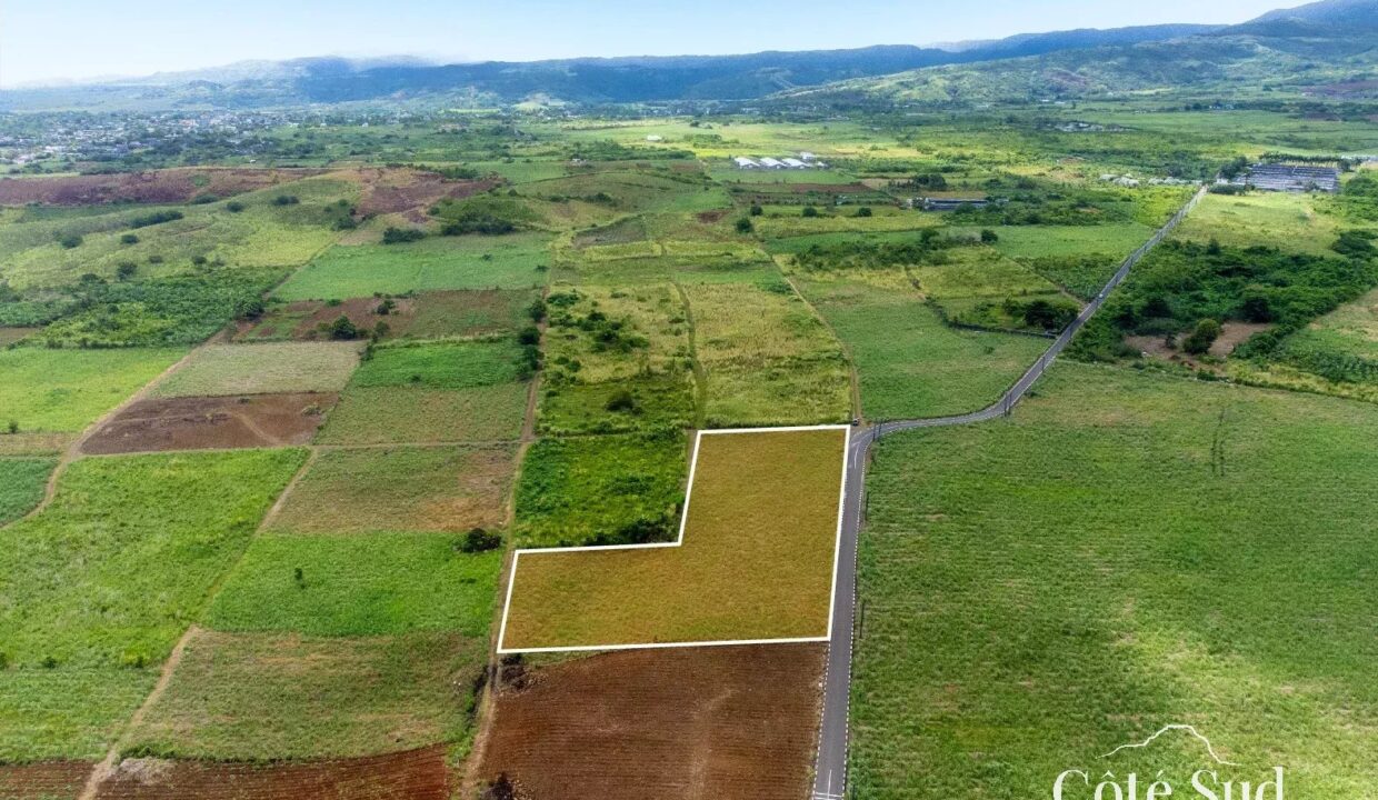 6fa2aa97dcaff6cfe0a02bd331d426af_631450c5ed_1575-original