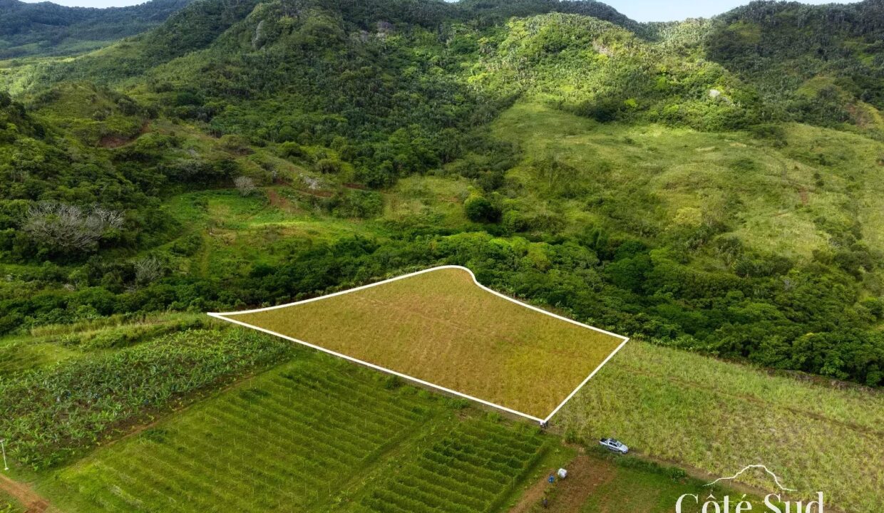 74eb2b1dd037e795f72cf31990a55c0c_7f1985e2b7_1575-original