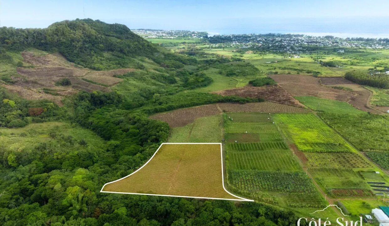 772697befa85bcd6b880b2c27bcb9630_fdd4da8efd_1575-original