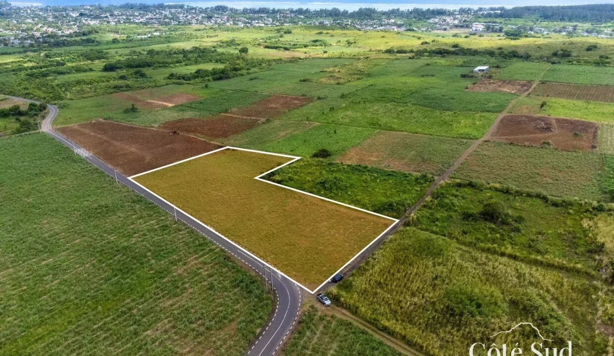 7cc39a0cd0bf628eb86ad4db24813939_114498d684_1575-original