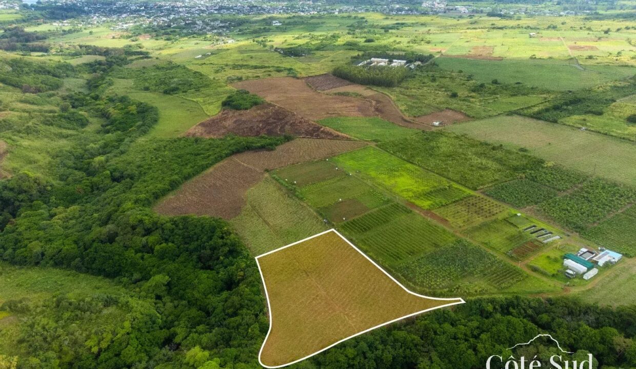 82e19a18678c072a5f8bb5cb32570d82_aaf5b4ad80_1575-original