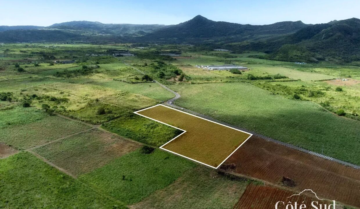 83a26f9920b11e636853e670a4c3d75b_f2f0755faa_1575-original