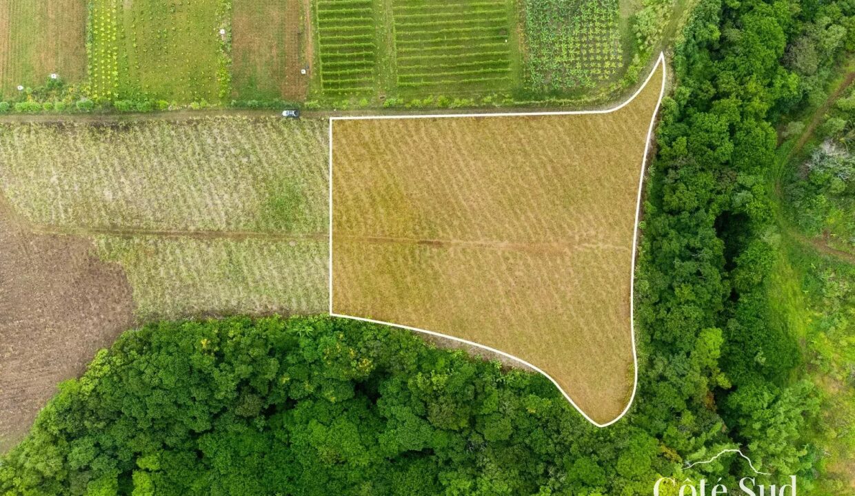 8ba34f96eee323059eb813ef00b6d3fb_c8b0f7691a_1575-original