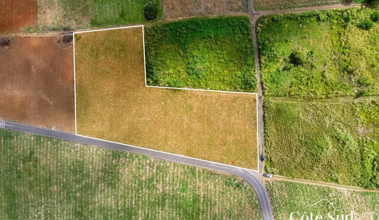 bc7d04328ab4734a2a3ec7a4937bd513_d8ea575f7b_1575-original