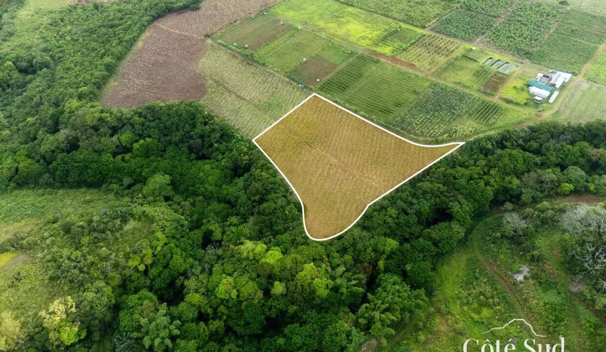 e759d81d298f87c7bb4156192c70d7e8_201f166b6e_1575-original