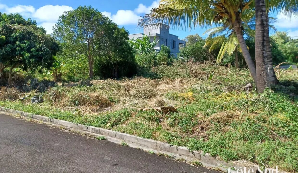 4aa0d20f05b5b34d0930e6b5e55993af_5079622039_1600-original